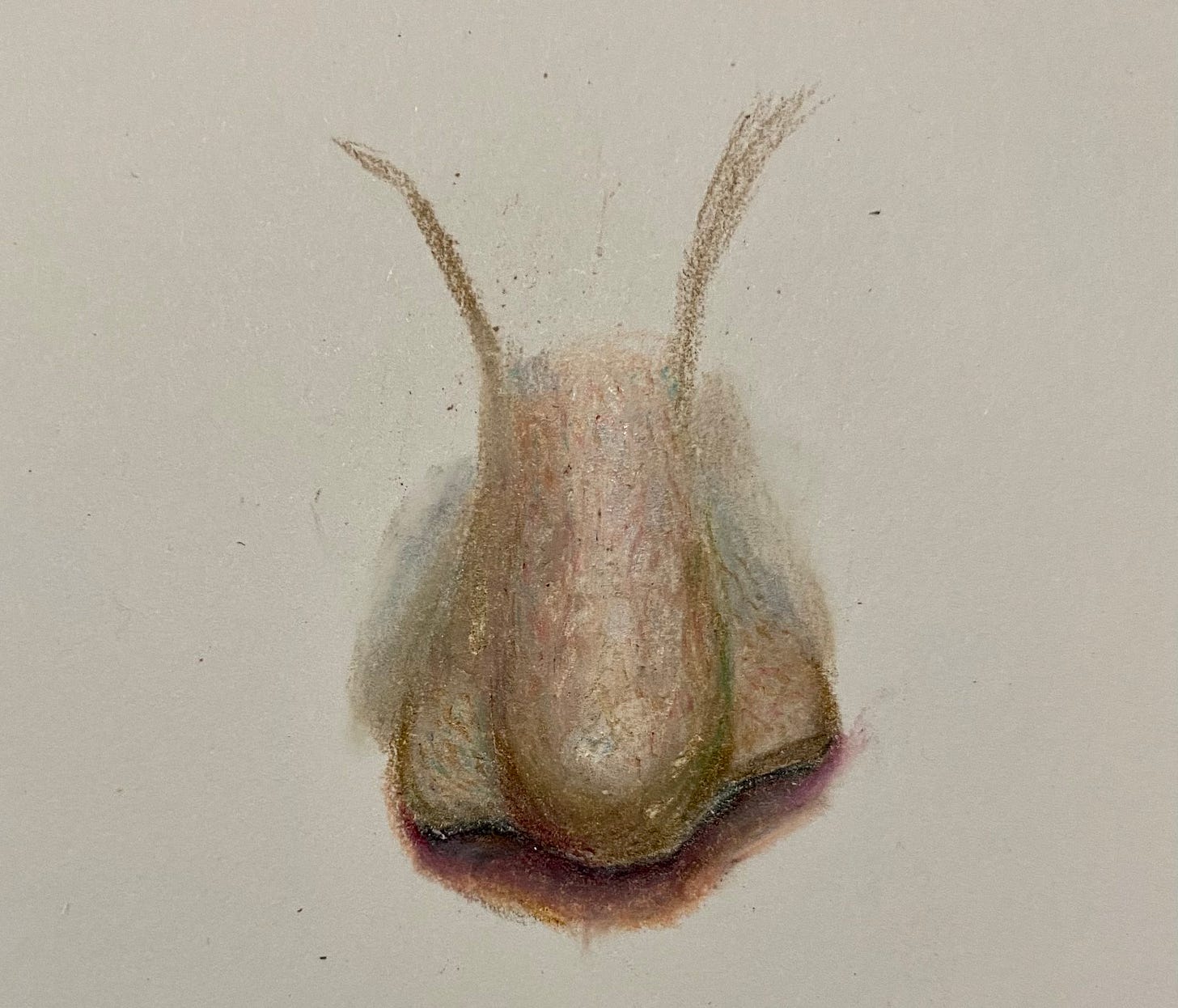 A floating nose